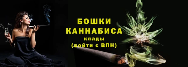 СК Волоколамск
