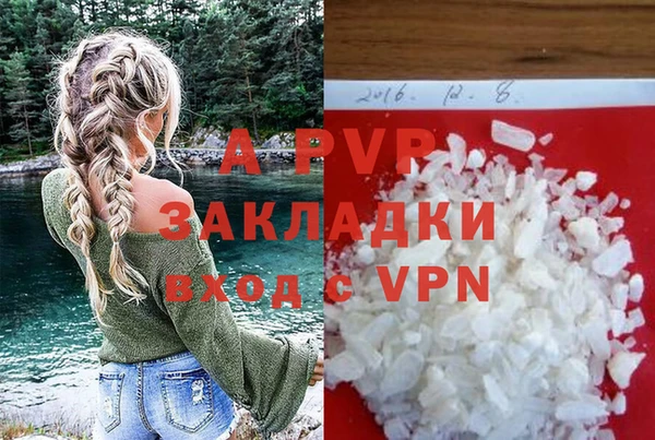 СК Волоколамск