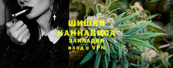 СК Волоколамск