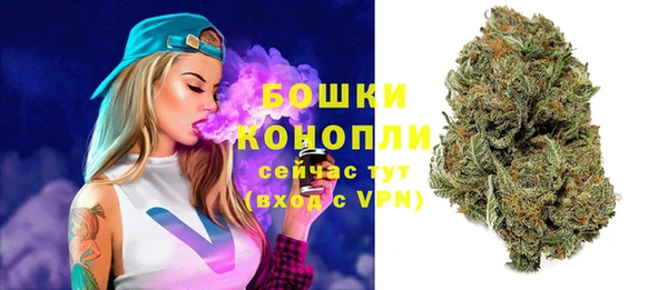 СК Волоколамск