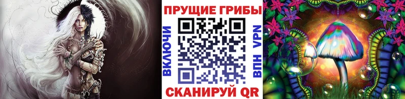 хочу   блэк спрут ссылка  Галлюциногенные грибы Psilocybine cubensis  сайты даркнета как зайти  Дубовка 